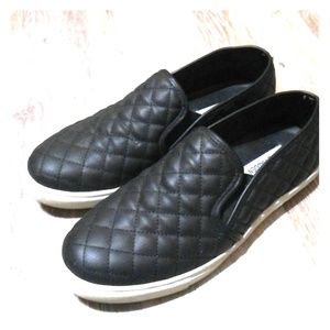 Steve Madden Ecentrco Sneakers